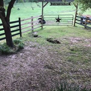 Meet your Posher, Randall